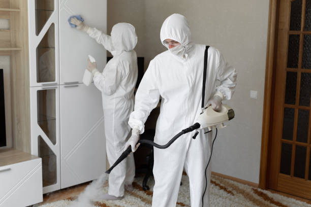 Best Toxic Mold Removal  in Rushville, NE